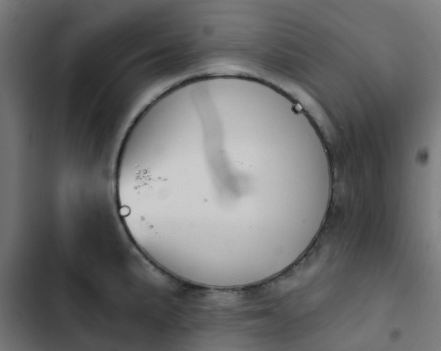 X0000103951191200809261741