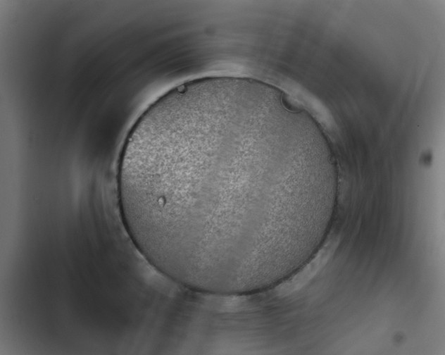 X0000103951192200809261741