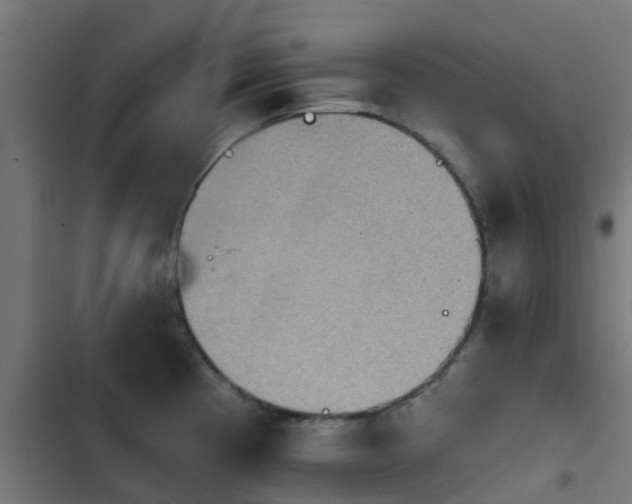 X0000103951193200809261741