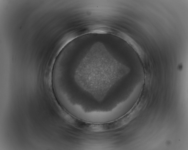 X0000103951194200809261741