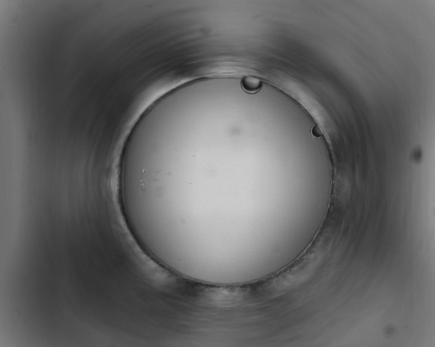 X0000103951195200809261741