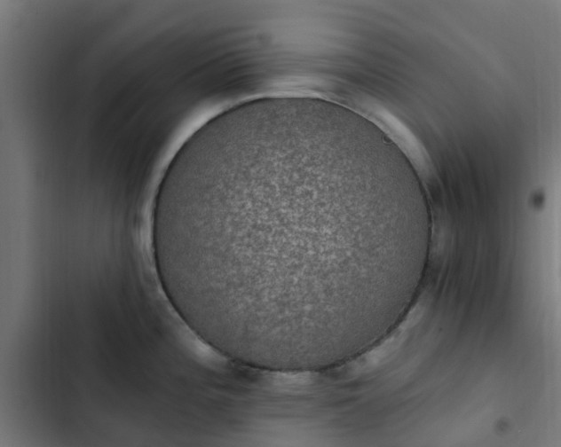 X0000103951196200809261741