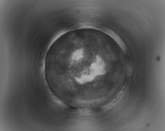 X0000103951198200809261741