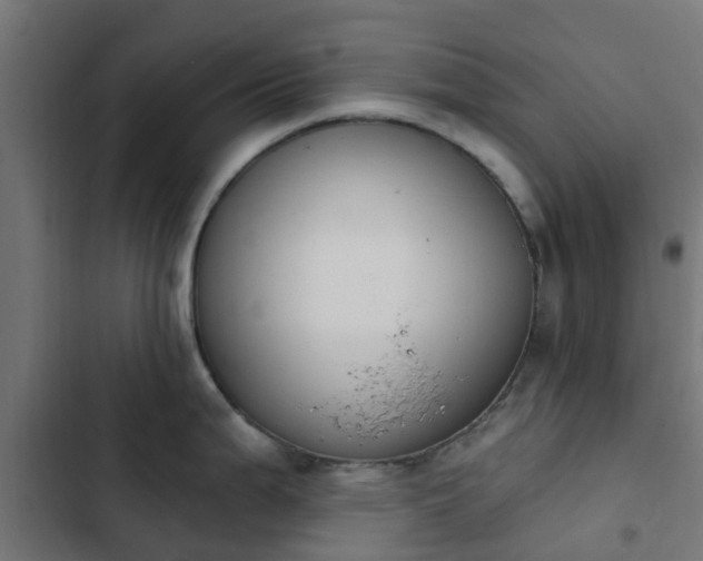 X0000103951199200809261741