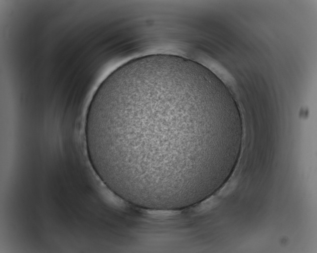 X0000103951200200809261741
