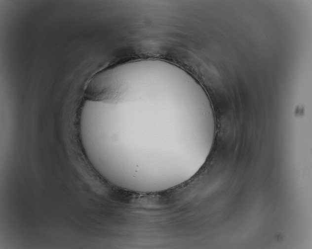 X0000103951201200809261740