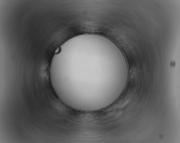 X0000103951202200809261740
