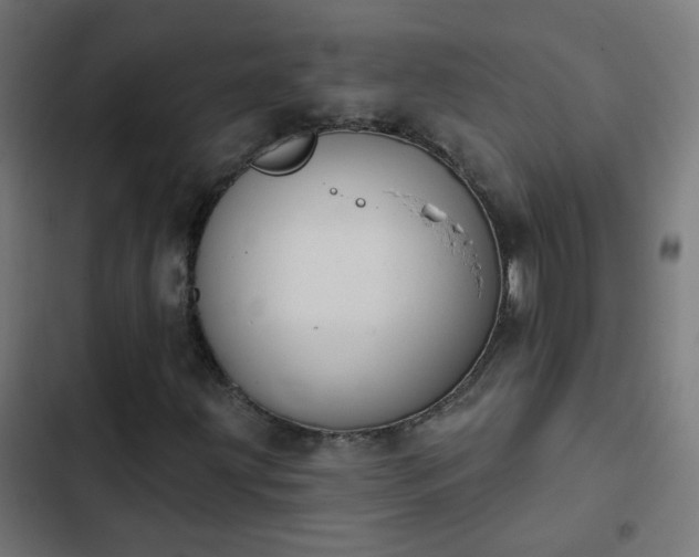 X0000103951203200809261740