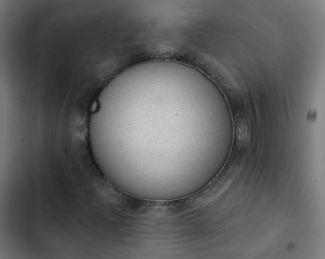 X0000103951204200809261740