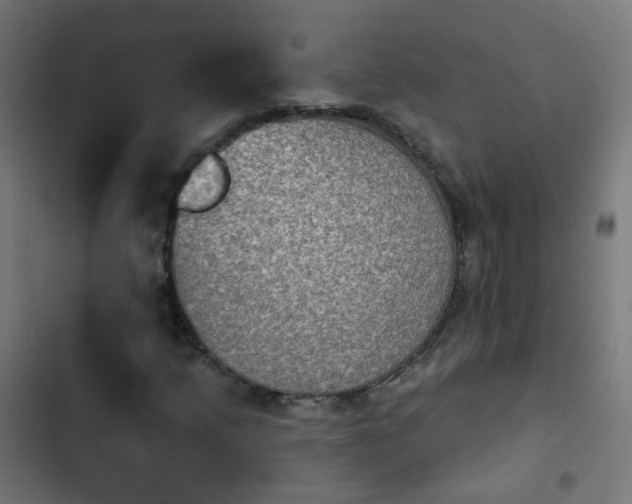 X0000103951205200809261740