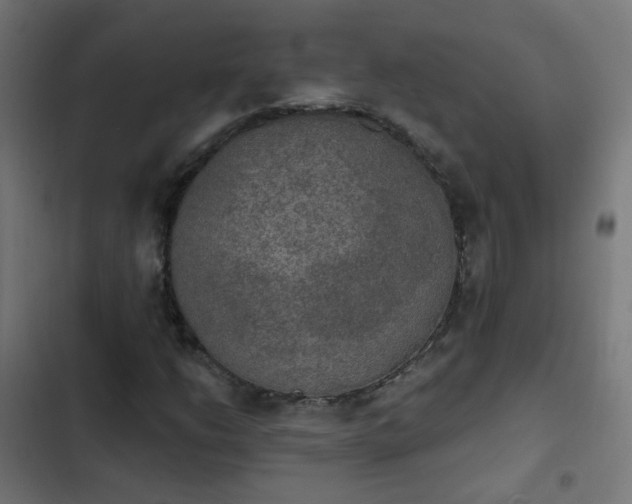 X0000103951206200809261740