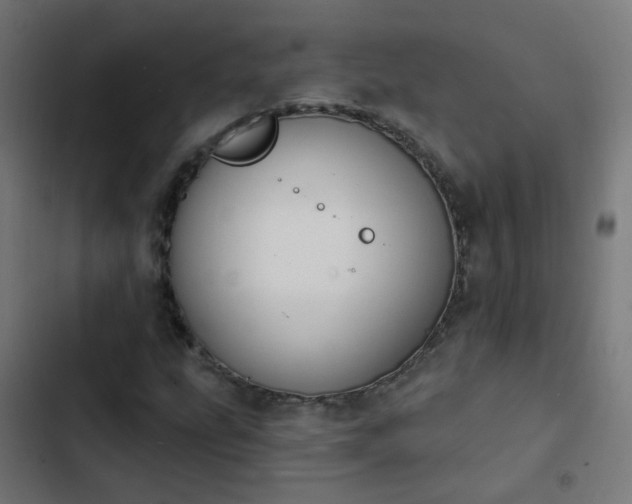 X0000103951207200809261740