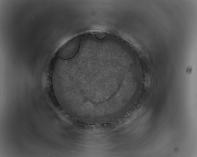 X0000103951208200809261740