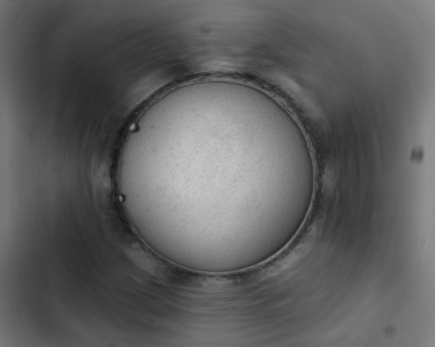 X0000103951209200809261740