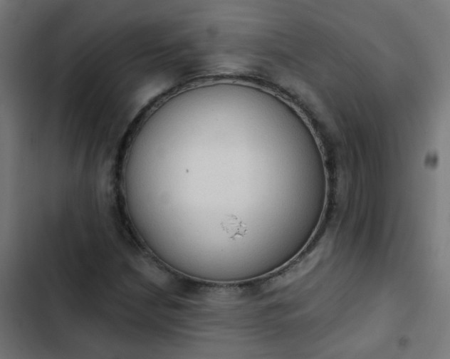 X0000103951210200809261740