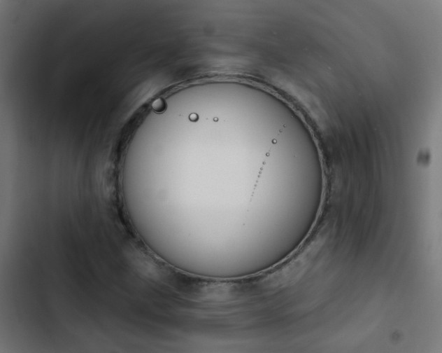X0000103951211200809261740