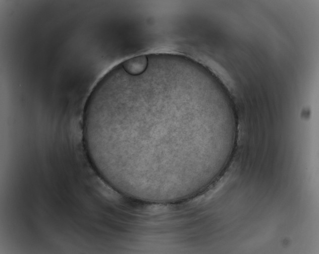 X0000103951212200809261740