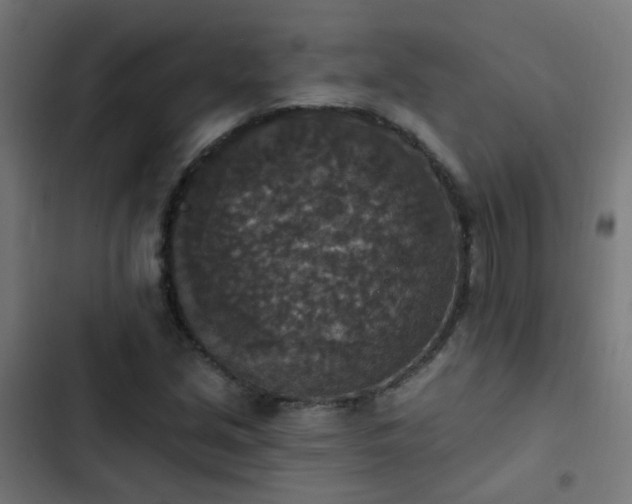 X0000103951213200809261740