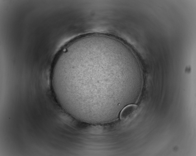 X0000103951214200809261740