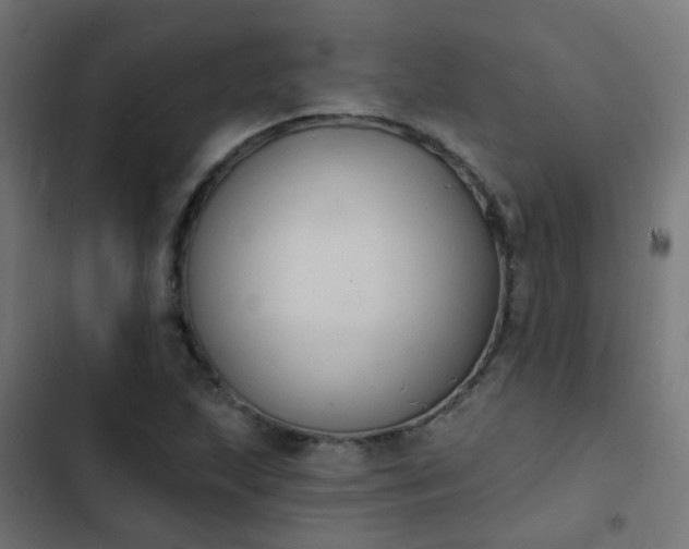 X0000103951215200809261740