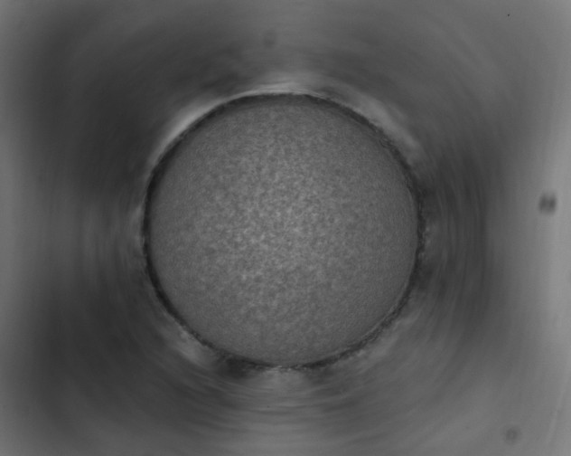 X0000103951216200809261740