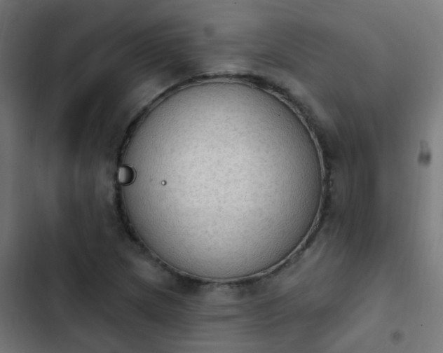 X0000103951217200809261740