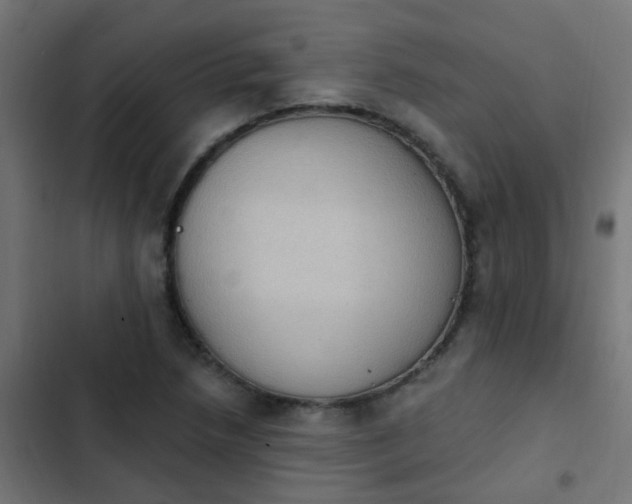 X0000103951218200809261740