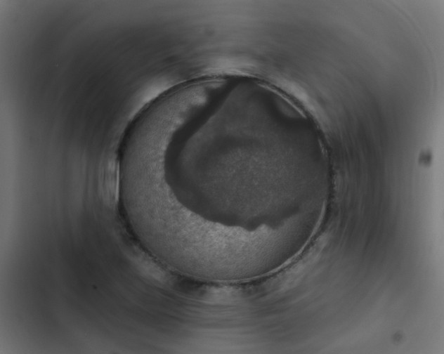 X0000103951219200809261740
