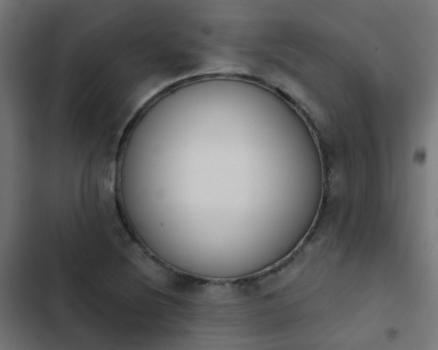 X0000103951220200809261740