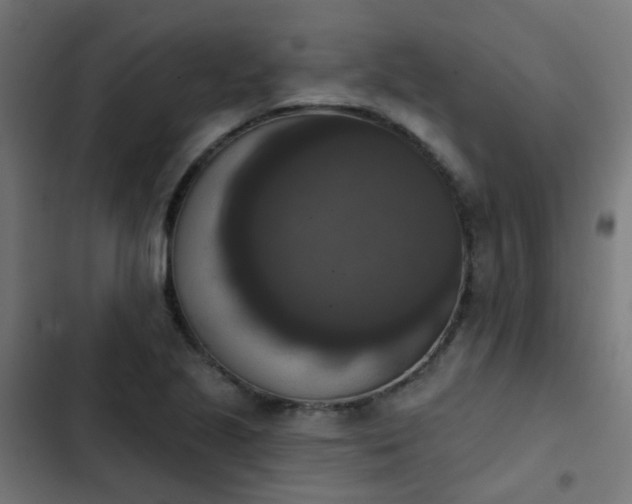 X0000103951221200809261740