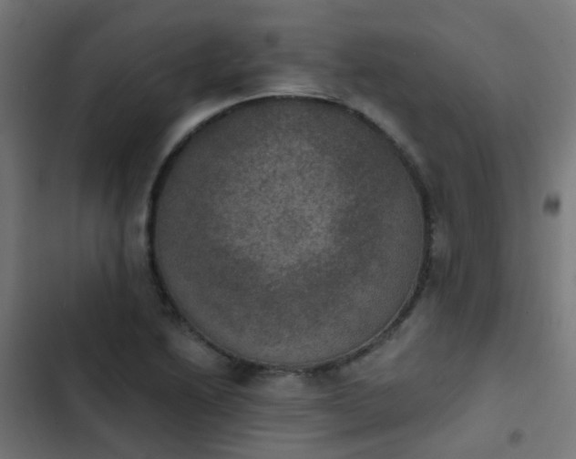 X0000103951222200809261740