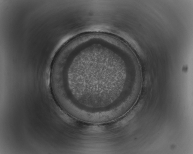 X0000103951224200809261740