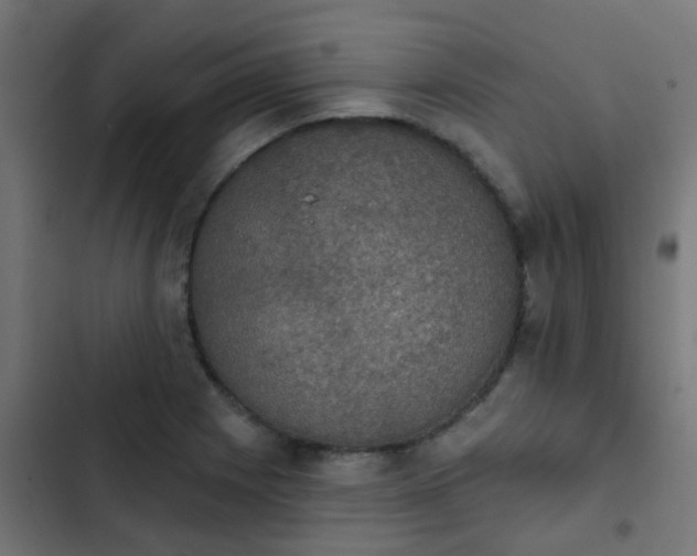 X0000103951225200809261740