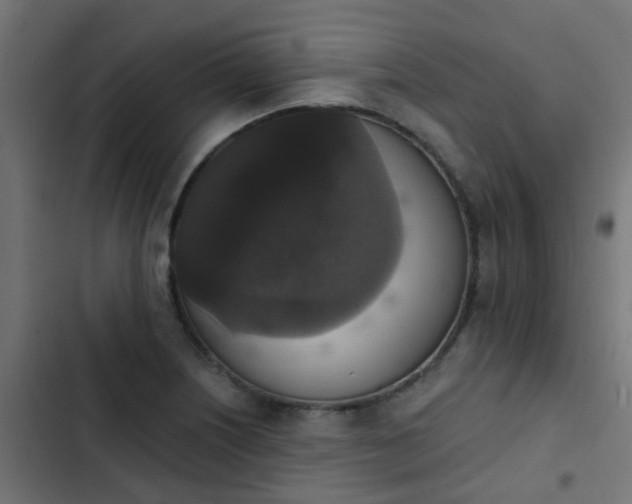 X0000103951226200809261740