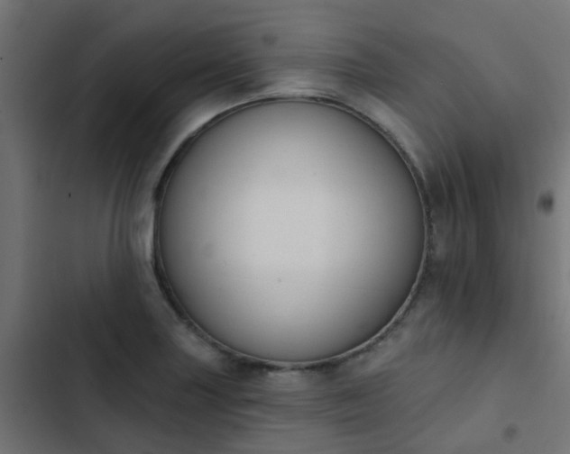 X0000103951227200809261740