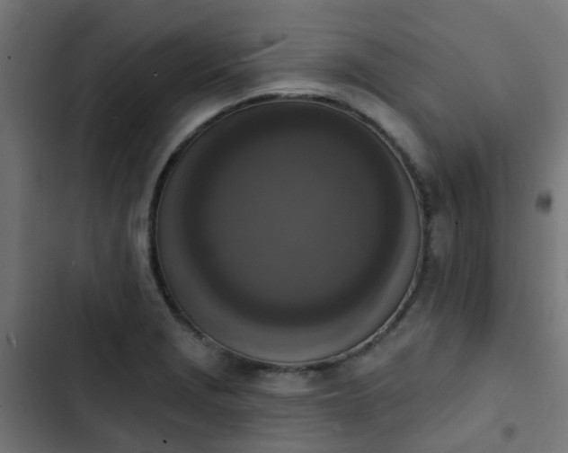 X0000103951229200809261741