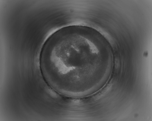 X0000103951230200809261741