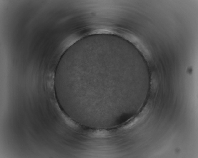 X0000103951233200809261741