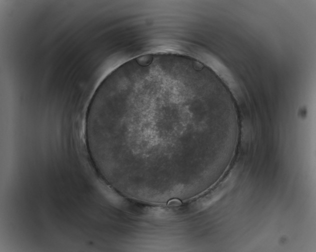 X0000103951234200809261741
