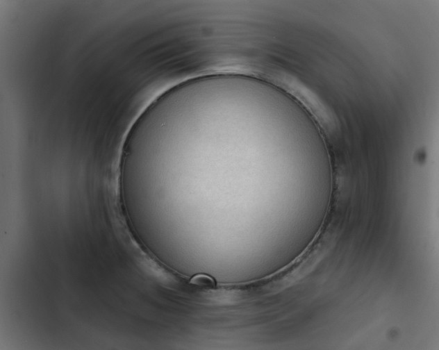 X0000103951236200809261741