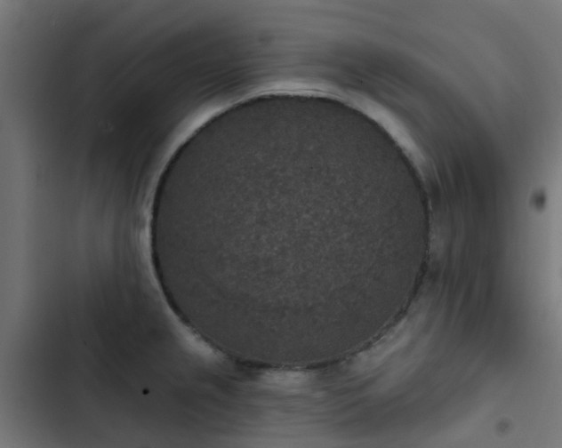 X0000103951237200809261741