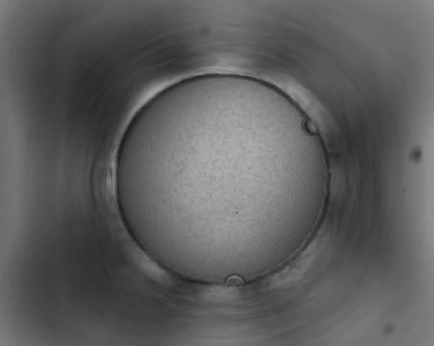 X0000103951238200809261741