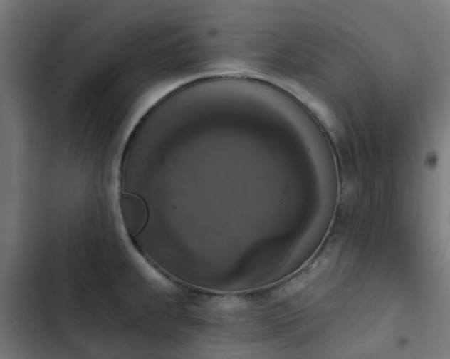 X0000103951239200809261741