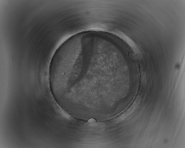 X0000103951240200809261741