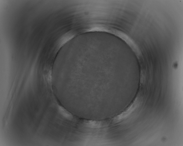 X0000103951241200809261741