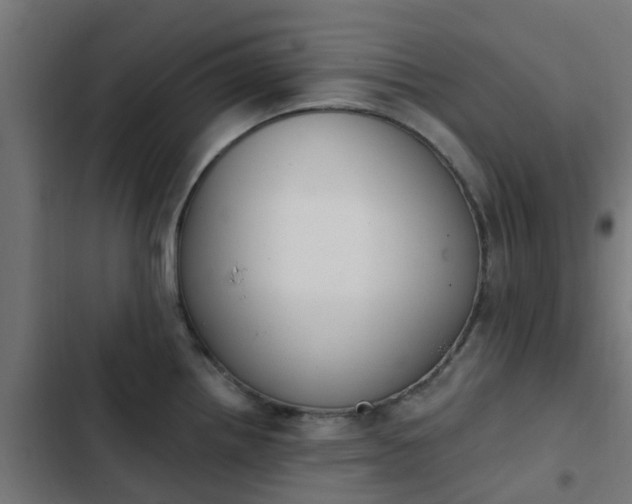 X0000103951242200809261741