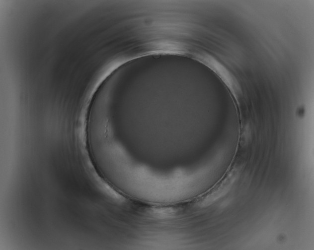 X0000103951243200809261741