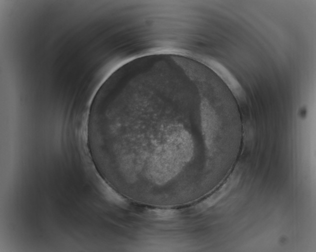 X0000103951244200809261741