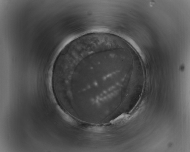 X0000103951245200809261741