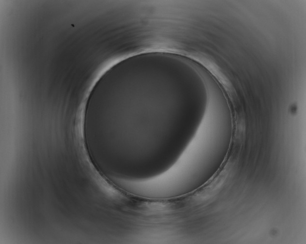X0000103951246200809261741